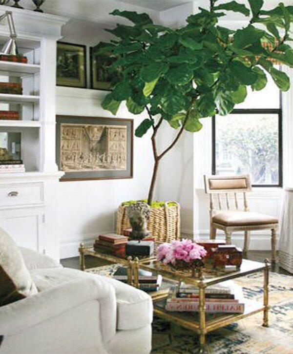 living room decorating ideas with plants